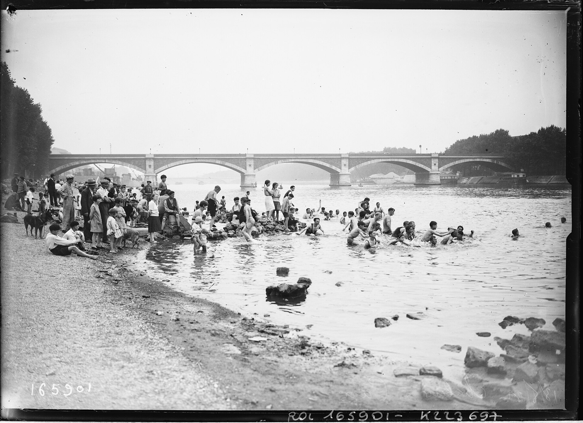Swimming in the Seine returns to Paris for the summer